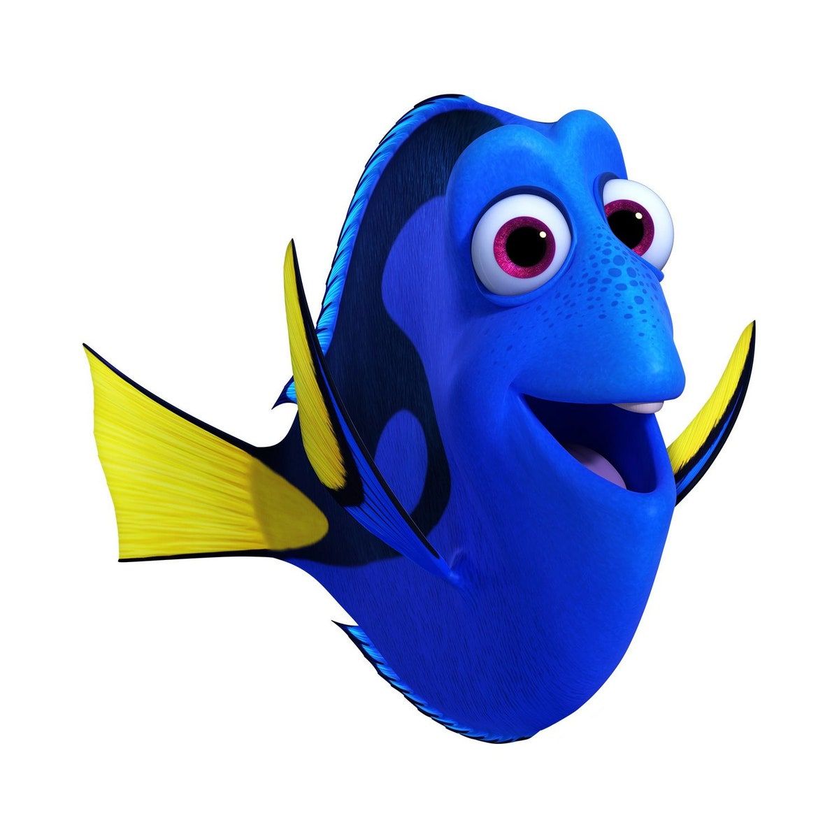 Nemo